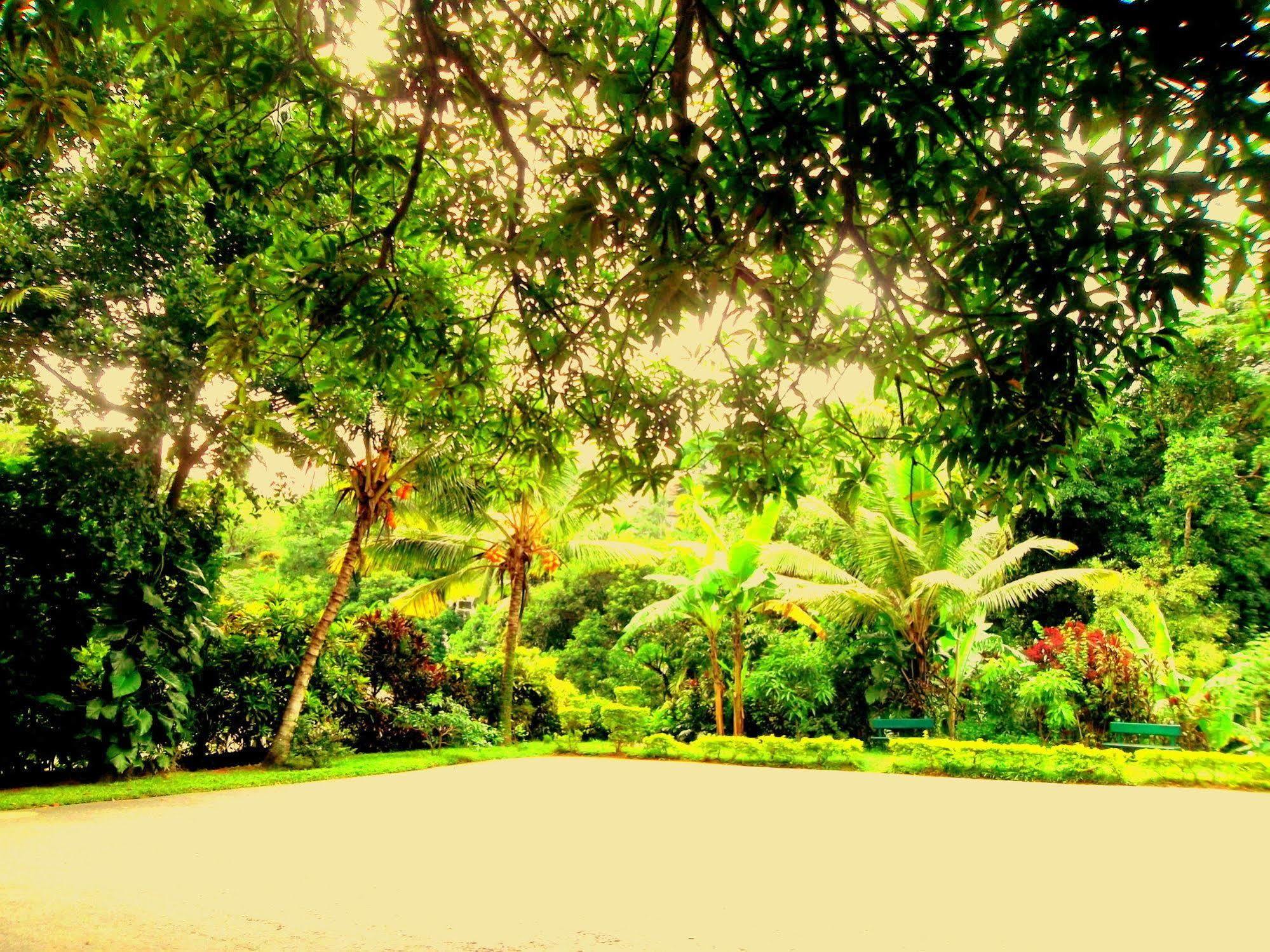 Oyo 433 Paradise Resort Kandy Eksteriør billede